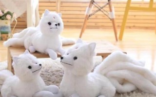  ,九尾灵狐和狐仙区别？